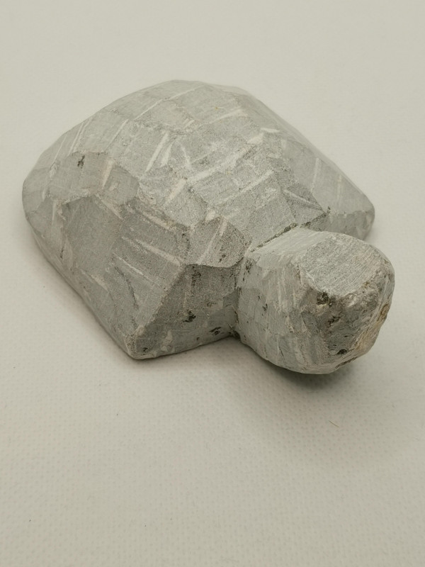 Speckstein; Halbfabrikat; Schildkrte