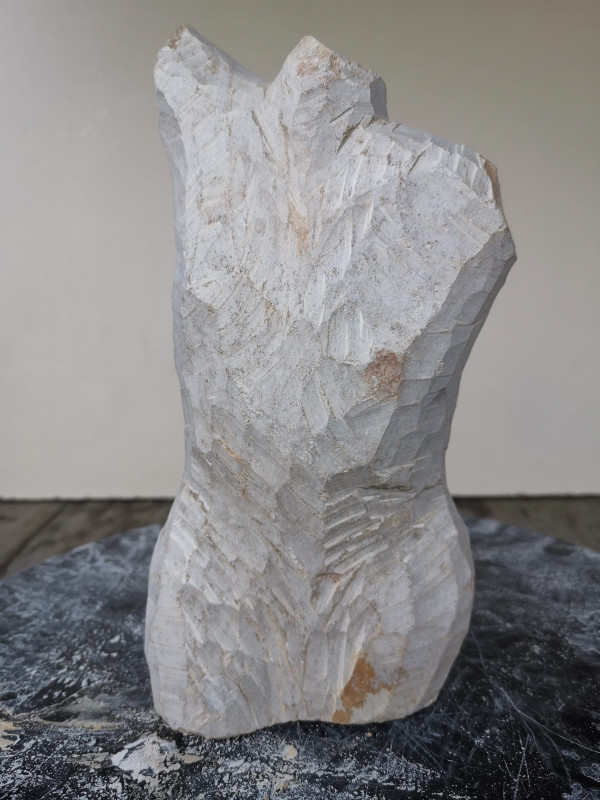 Speckstein; XXL Torso Frau; Einzelst�ck; Brasilien; braun; 2.260 kg