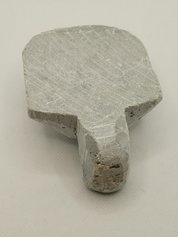 Speckstein; Halbfabrikat; Schildkrte