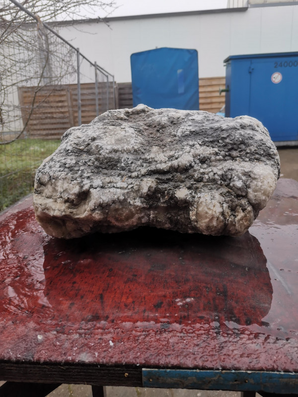 Alabaster; kleine ganze Knolle; wei; schwarz; Marmoriert; 25.200 kg