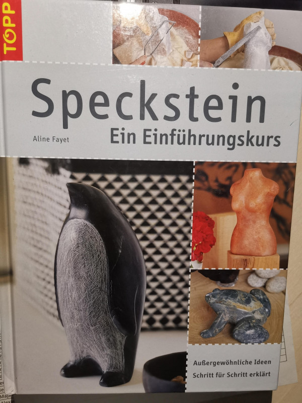 Speckstein; Ein Einfhrungskurs; Aline Fayet; gebrauchtes Buch