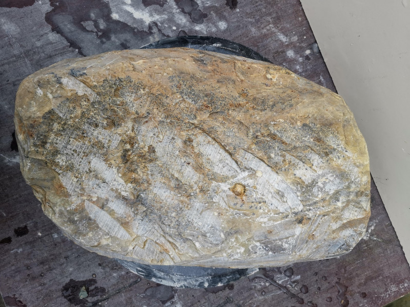 Speckstein; Einzelstck; Indien; gelb-Mix; 15,260 kg