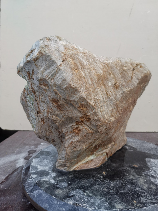 Speckstein Einzelstck aus Brasilien braun Farb Mix 9.960 kg