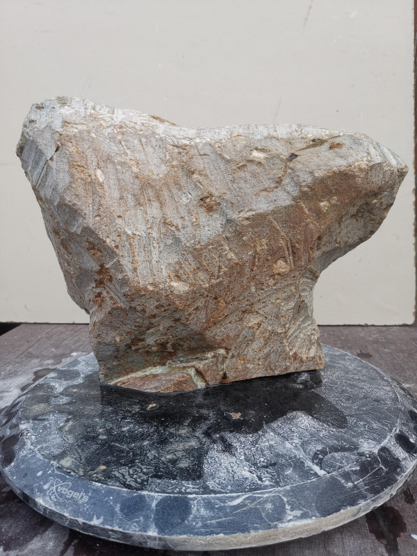 Speckstein Einzelstck aus Brasilien braun Farb Mix 9.960 kg