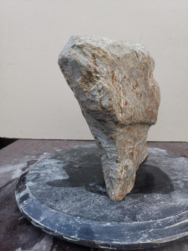 Speckstein Einzelstck aus Brasilien braun Farb Mix 9.960 kg