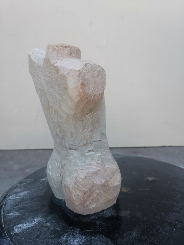 Speckstein XXL Torso Frau Einzelstck aus Brasilien braun