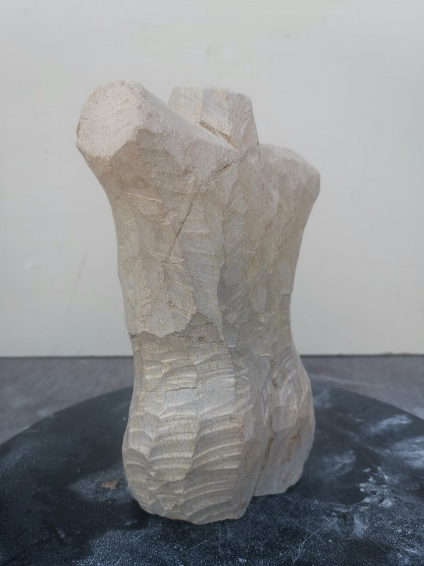 Speckstein XXL Torso Frau Einzelstck aus Brasilien braun