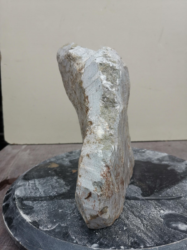 Speckstein Einzelstck aus Indien grn, mit grauen Streifen 6,820 kg