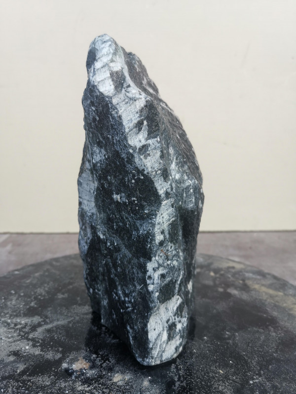 Speckstein Einzelstck aus Indien dunkelgrn 3,580 kg