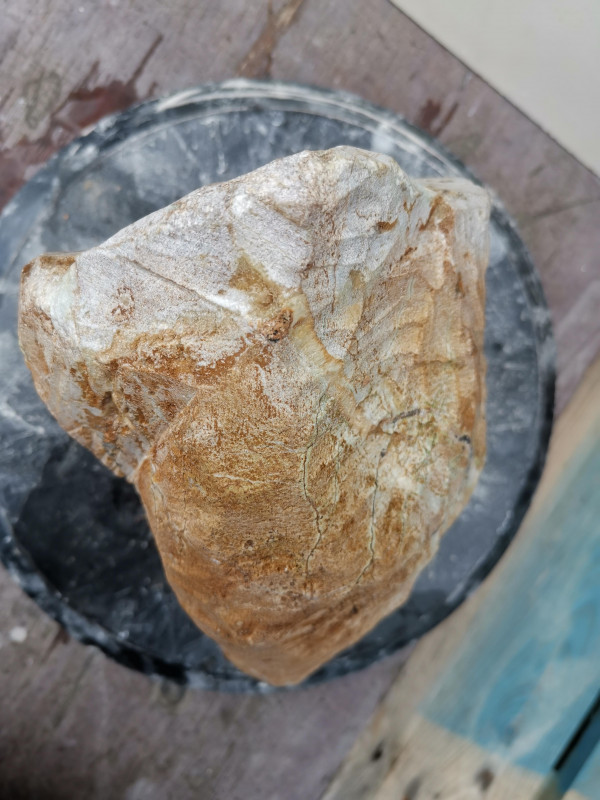 Speckstein; Einzelstck; aus Brasilien; braun Farb Mix; 7,780 kg