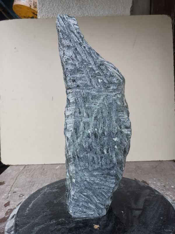 Speckstein; Einzelstück; Indien; dunkelgrün; 8,780 kg
