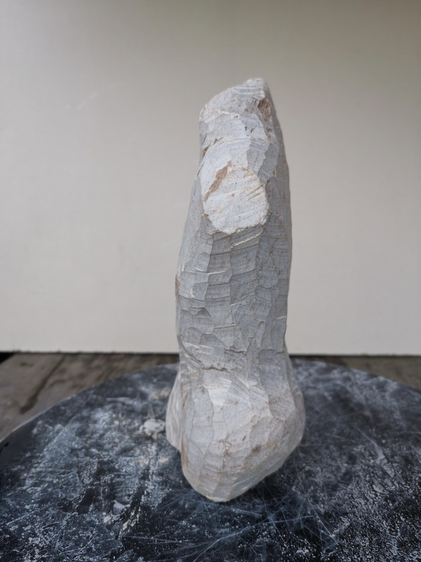 Speckstein; XXL Torso Frau; Einzelst�ck; Brasilien; braun; 2.260 kg