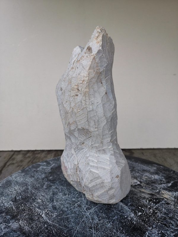 Speckstein; XXL Torso Frau; Einzelst�ck; Brasilien; braun; 2.260 kg