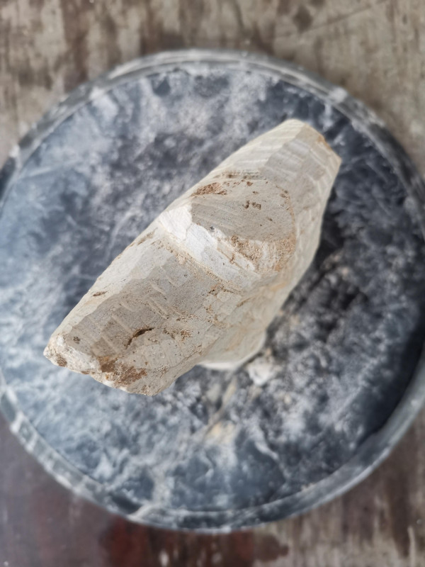 Speckstein; XXL Torso Frau; Einzelst�ck; Brasilien; braun; 2.260 kg