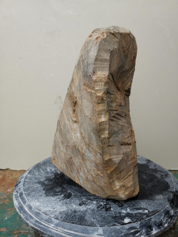 Speckstein; Einzelst�ck; aus Brasilien; braun; tlw. andere Farben; 11,640 kg