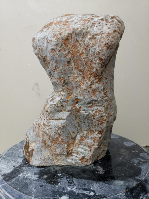 Speckstein; Einzelst�ck; aus Brasilien; braun-gr�n; tlw. andere Farben; 9,820 kg