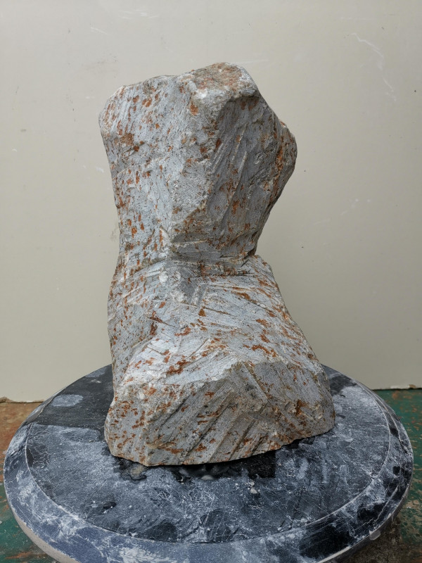 Speckstein; Einzelst�ck; aus Brasilien; braun-gr�n; tlw. andere Farben; 9,820 kg