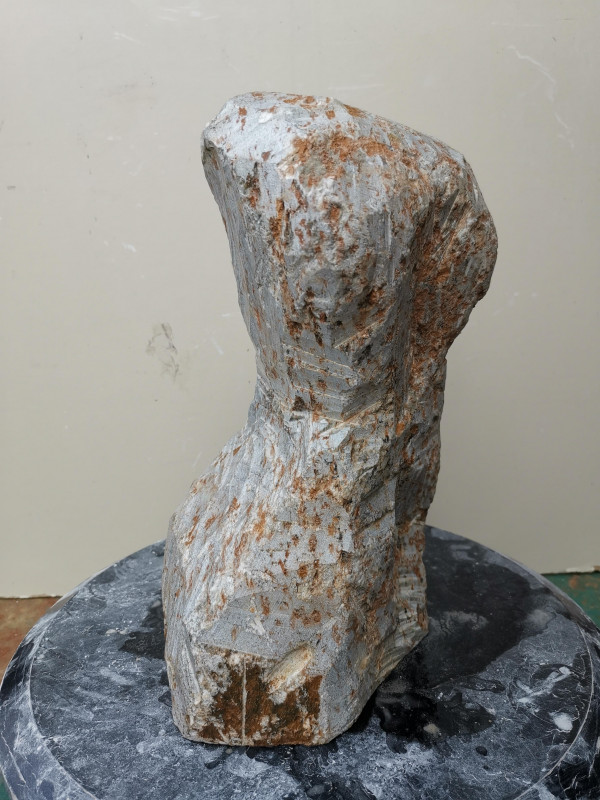 Speckstein; Einzelst�ck; aus Brasilien; braun-gr�n; tlw. andere Farben; 9,820 kg