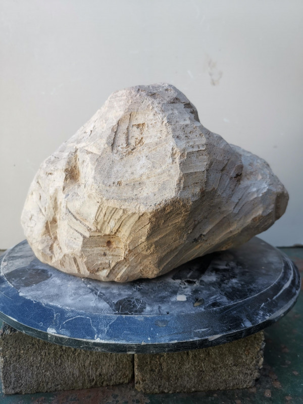 Speckstein; Einzelst�ck; aus Brasilien; braun; 13,610 kg
