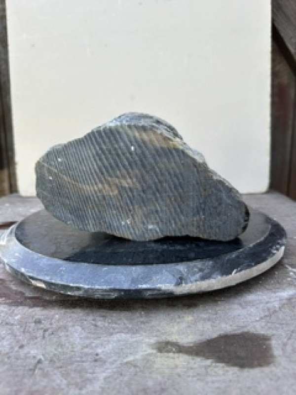 Speckstein; Indien; Einzelst�ck; Farb Mix; 9,700 kg