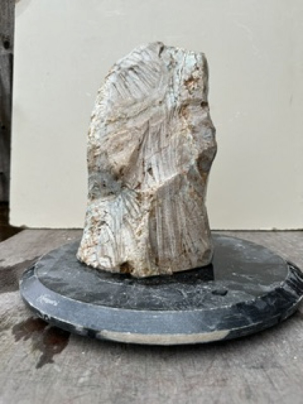 Speckstein; Einzelst�ck; Brasilien; braun; und andere Farben; 10,190 kg