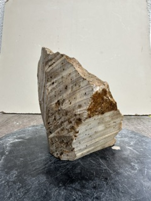 Speckstein; Einzelst�ck; Brasilien; braun; mit schwarzen Punkten; 3,620 kg