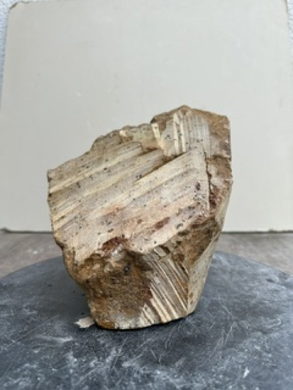 Speckstein; Einzelst�ck; Brasilien; braun; mit schwarzen Punkten; 3,620 kg
