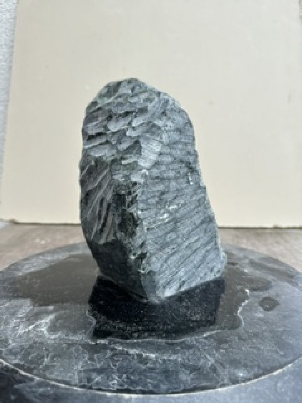 Speckstein; Einzelst�ck; Indien; dunkelgr�n; 3,380 kg