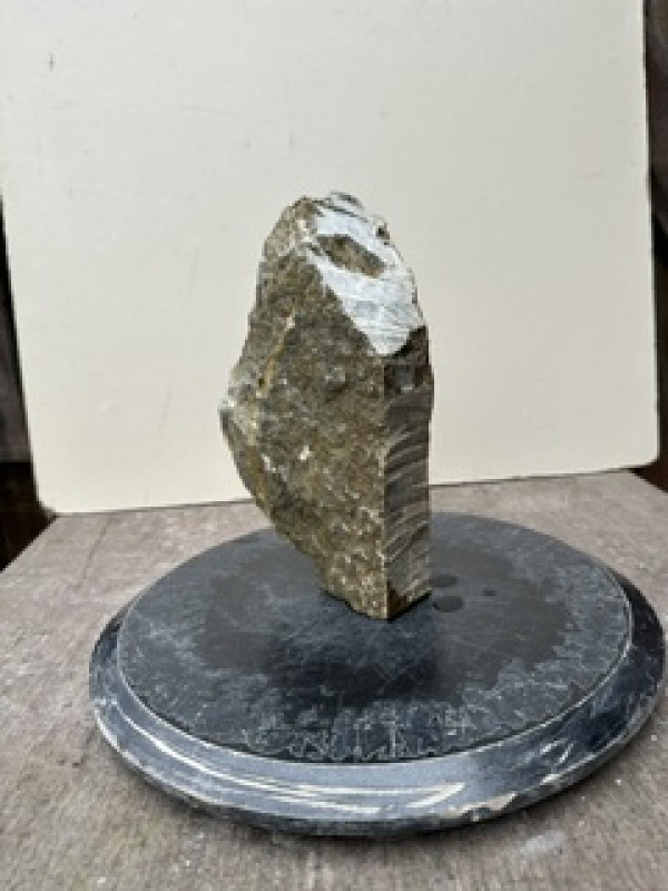 Speckstein; Einzelst�ck; Brasilien; Exotic; 4,100 kg