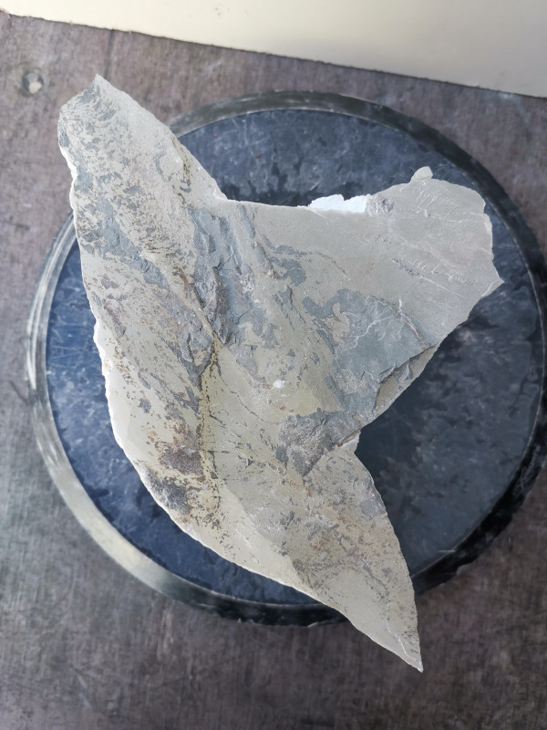 Selenit; Heilstein; Einzelst�ck; transparent; 6,040 kg