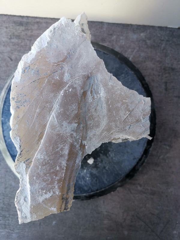 Selenit; Heilstein; Einzelst�ck; Marokko; transparent; 7,960 kg