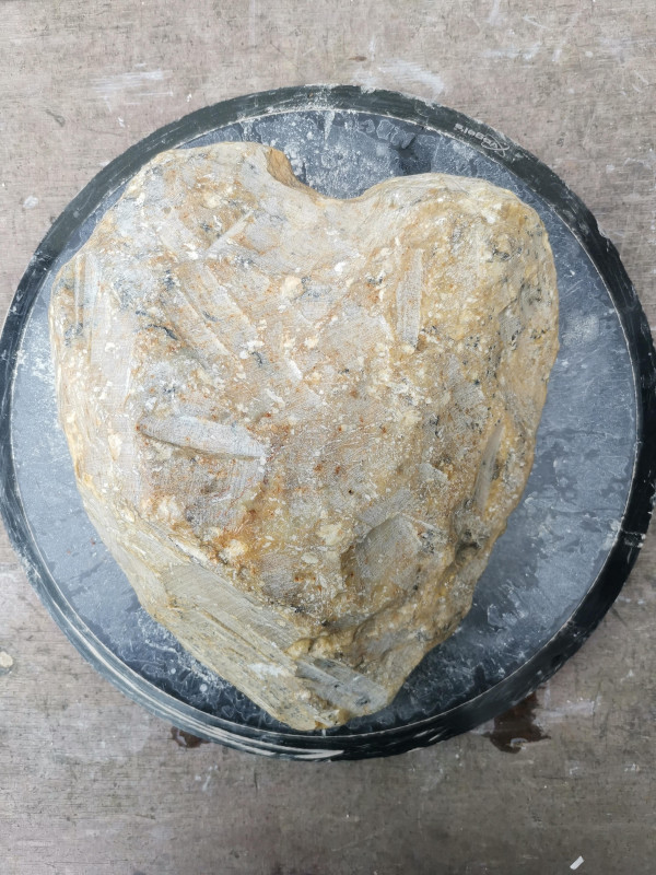 Speckstein; Rohling; Einzelst�ck; Herz; Indien; Safari; 5,880 kg