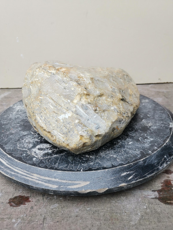 Speckstein; Rohling; Einzelst�ck; Herz; Indien; Safari; 5,880 kg