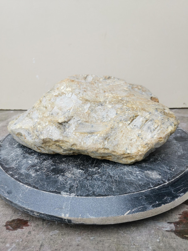 Speckstein; Rohling; Einzelst�ck; Herz; Indien; Safari; 5,880 kg
