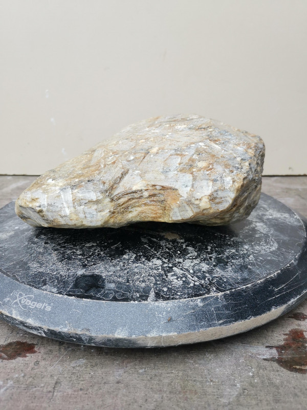 Speckstein; Rohling; Einzelst�ck; Herz; Indien; Safari; 5,880 kg