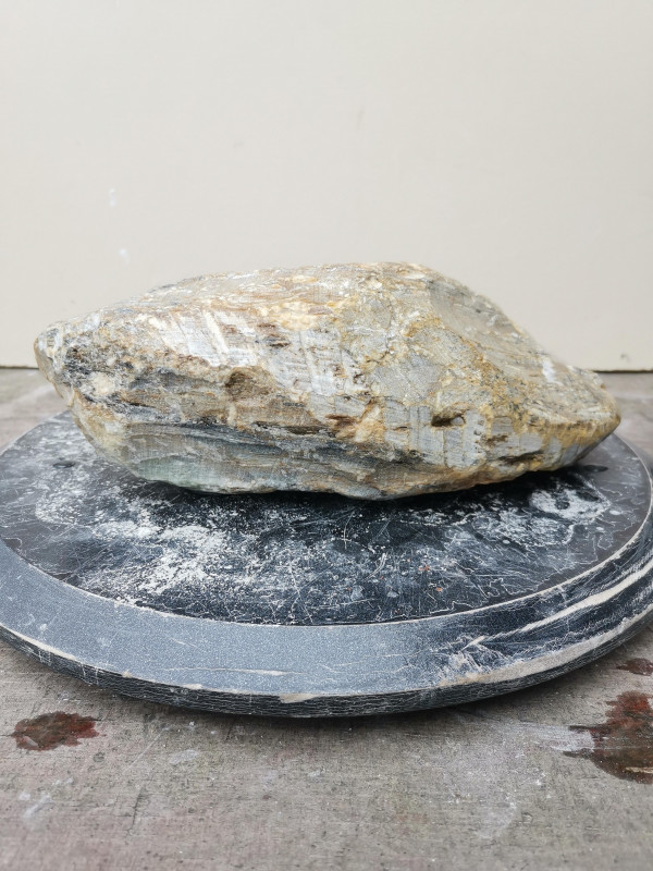 Speckstein; Rohling; Einzelst�ck; Herz; Indien; Safari; 5,880 kg