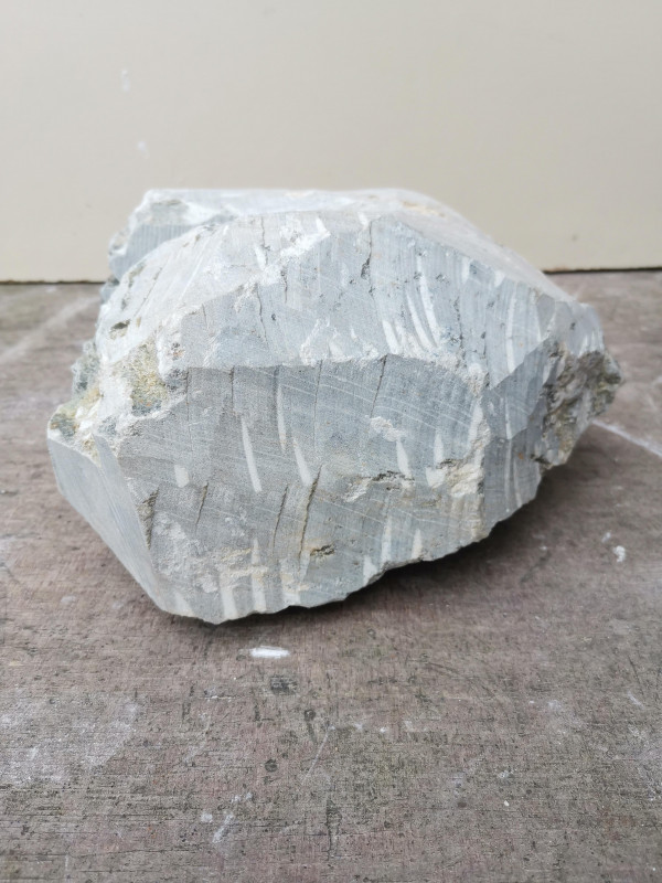 Speckstein; Einzelst�ck; Rohling; Herz; Brasilien; gr�n; 7,740 kg