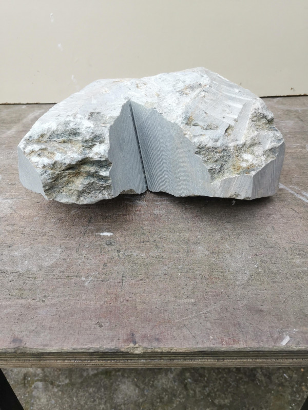 Speckstein; Einzelst�ck; Rohling; Herz; Brasilien; gr�n; 7,740 kg
