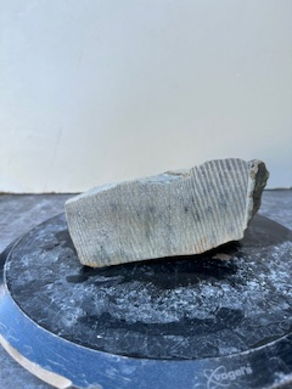 Speckstein; Einzelst�ck; Brasilien; Exotic; 3,440 kg