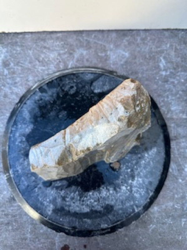 Speckstein; Einzelst�ck; Brasilien; Exotic; 3,440 kg