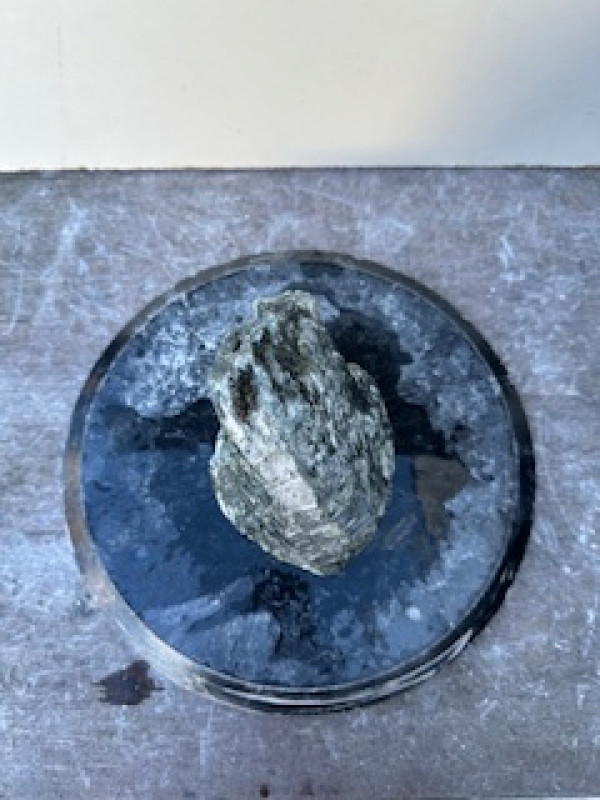 Speckstein; Einzelst�ck; Brasilien; Premiumgr�n; 3,700 kg