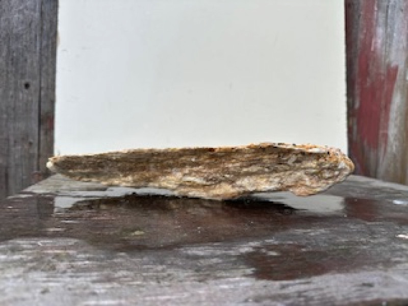 Speckstein; halbe Scheibe; Farb-Mix; 4,140 kg